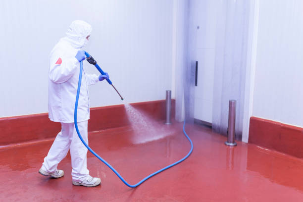 Best House Exterior Washing  in Nixon, PA